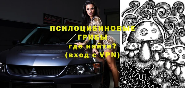 прущая мука Алзамай