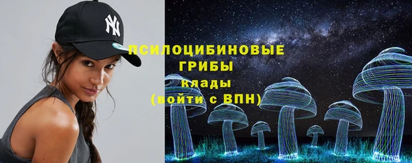 прущая мука Алзамай