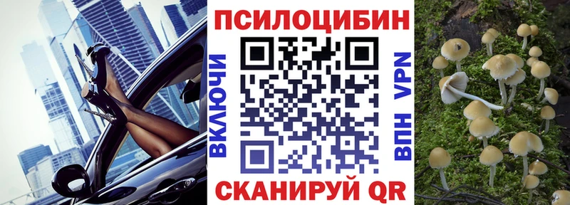 Псилоцибиновые грибы прущие грибы  где купить   Киреевск 